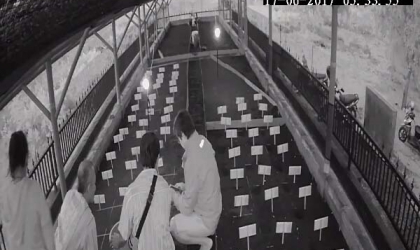 Menemukan Penyu Bertelur di Pantai Sobo