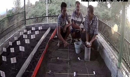 Menemukan Penyu Bertelur di Pantai Mirah