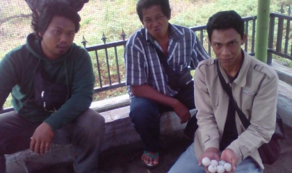 Menemukan Penyu Bertelur di Pantai Kramat