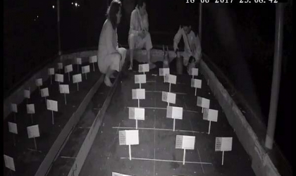 Menemukan Penyu Bertelur di Pantai Boom