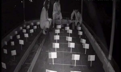 Menemukan Penyu Bertelur di Pantai Pulau Santen