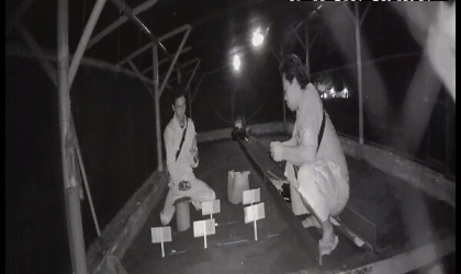 Menemukan Penyu Bertelur di Pantai Bomo