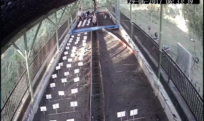 Menemukan Penyu Bertelur di Pantai Pulau Santen