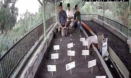 Menemukan Penyu Bertelur di Pantai Kramat