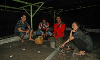 Menemukan Penyu Bertelur di Pantai Boom