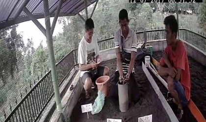 Menemukan Penyu Bertelur di Pantai Mirah