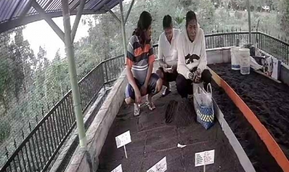 Menemukan Penyu Bertelur di Pantai Santen