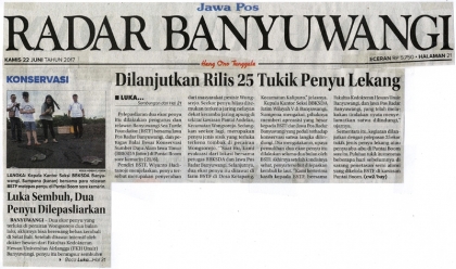 Luka Sembuh, Dua Penyu Dilepasliarkan