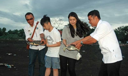 Luka Sembuh, Dua Penyu Dilepasliarkan