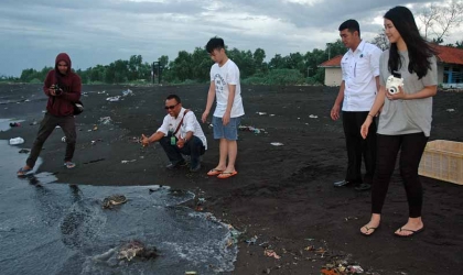 Luka Sembuh, Dua Penyu Dilepasliarkan