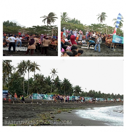 Pelepasliaran Tukik Bersama Pramuka & Masyarakat