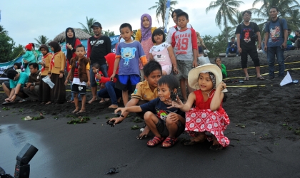 Pelepasliaran Tukik Bersama Pramuka & Masyarakat