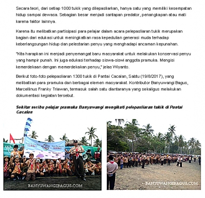 Pelepasliaran Tukik Bersama Pramuka & Masyarakat