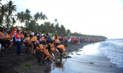 Pelepasliaran Tukik Bersama Pramuka & Masyarakat