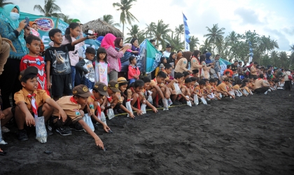 Pelepasliaran Tukik Bersama Pramuka & Masyarakat