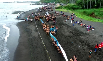Pelepasliaran Tukik Bersama Pramuka & Masyarakat