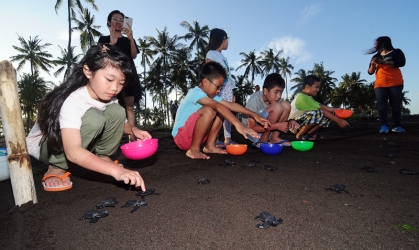 Pelepasliaran Tukik Bersama CEO Jawa Pos