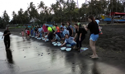 Pelepasliaran Tukik Bersama Wa Ing