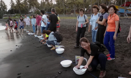 Pelepasliaran Tukik Bersama Wa Ing