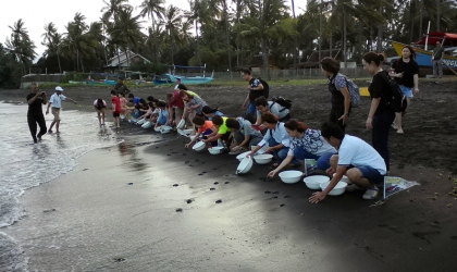 Pelepasliaran Tukik Bersama Wa Ing