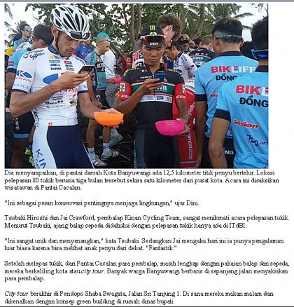 Pelepasliaran Tukik Bersama Tour de Ijen Banyuwangi 2017