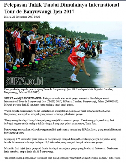 Pelepasliaran Tukik Bersama Tour de Ijen Banyuwangi 2017
