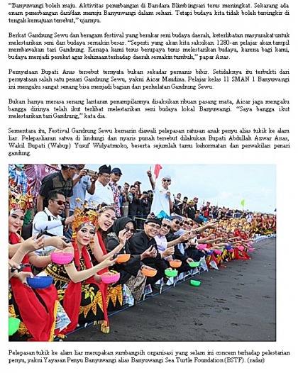 Pelepasliaran Tukik Dalam Event Gandrung Sewu 2017