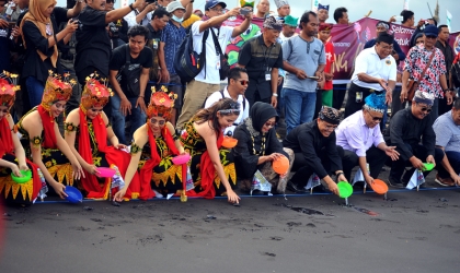 Pelepasliaran Tukik Dalam Event Gandrung Sewu 2017