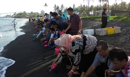 Pelepasliaran Tukik Bersama Radar Banyuwangi