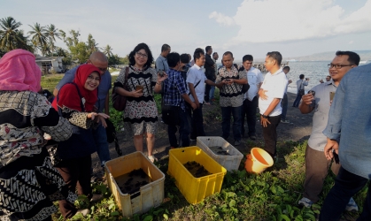 Pelepasliaran Tukik Bersama Radar Banyuwangi