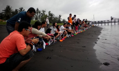 Pelepasliaran Tukik Bersama Alumni Kedokteran Unibraw