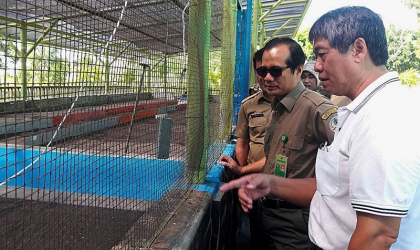 Kunjungan Kepala BBKSDA 