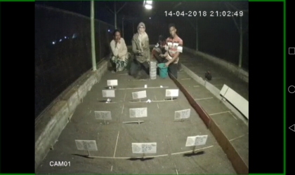 Menemukan Penyu Bertelur di Pantai Santen