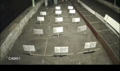 Menemukan Penyu Bertelur di Pantai Santen