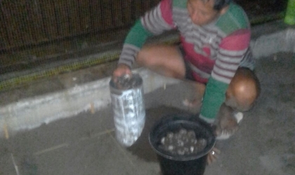 Menemukan Penyu Bertelur di Pantai Boom