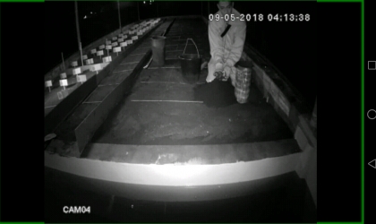 Menemukan Penyu Bertelur di Pantai Boom