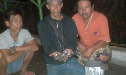 Menemukan Penyu Bertelur di Pantai Santen