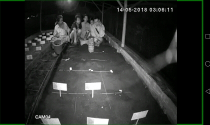 Menemukan Penyu Bertelur di Pantai Santen