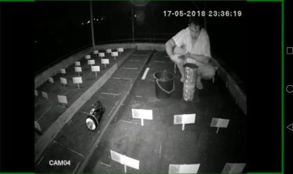 Menemukan Penyu Bertelur di Pantai Boom