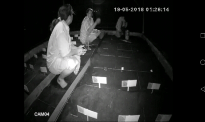 Menemukan Penyu Bertelur di Pantai Santen