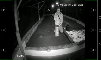 Menemukan Penyu Bertelur di Pantai Boom