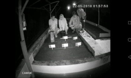 Menemukan Penyu Bertelur di Pantai Boom