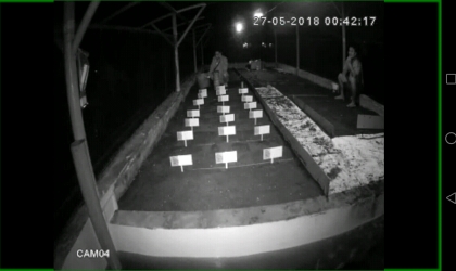 Menemukan Penyu Bertelur di Pantai Boom