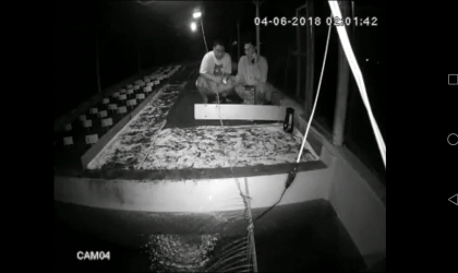 Menemukan Penyu Bertelur di Pantai Boom