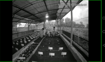 Menemukan Penyu Bertelur di Pantai Sobo