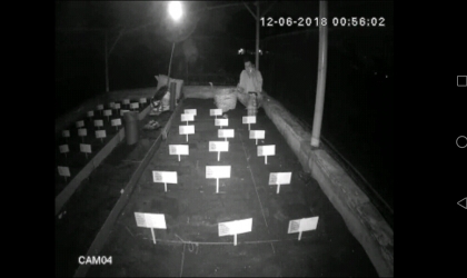 Menemukan Penyu Bertelur di Pantai Boom