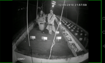 Menemukan Penyu Bertelur di Pantai Santen