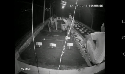 Menemukan Penyu Bertelur di Pantai Boom