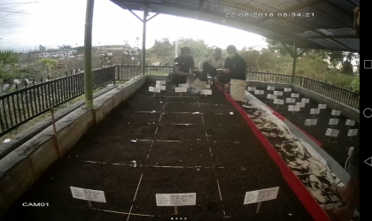 Menemukan Penyu Bertelur di Pantai Sobo