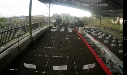 Menemukan Penyu Bertelur di Pantai Cacalan